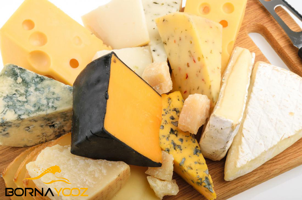 پنیر | برنا یوز 